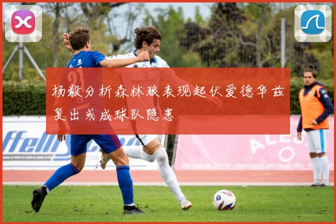杨毅分析森林狼表现起伏爱德华兹复出或成球队隐患
