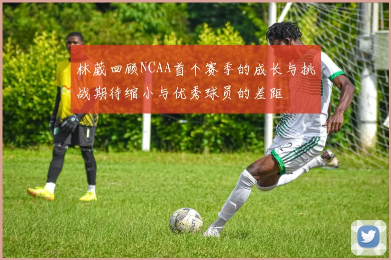 林葳回顾NCAA首个赛季的成长与挑战期待缩小与优秀球员的差距